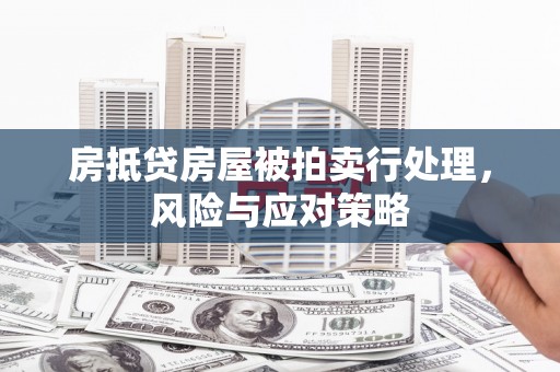 吴堡房抵贷房屋被拍卖行处理，风险与应对策略
