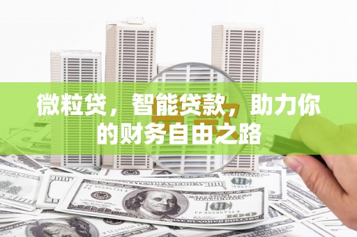 苏家屯微粒贷，智能贷款，助力你的财务自由之路