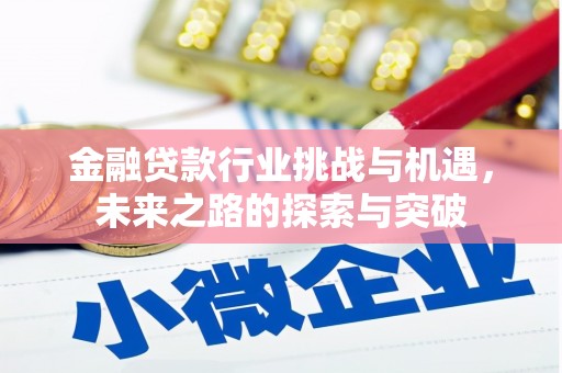 囊谦金融贷款行业挑战与机遇，未来之路的探索与突破