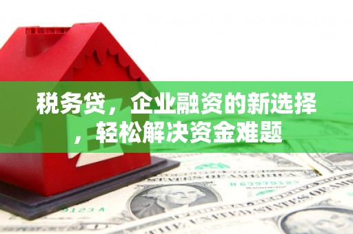 达日税务贷，企业融资的新选择，轻松解决资金难题