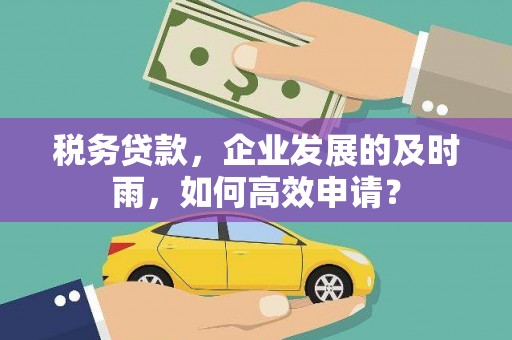 林西税务贷款，企业发展的及时雨，如何高效申请？