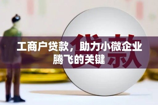 台西工商户贷款，助力小微企业腾飞的关键