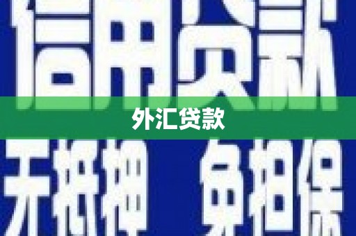 西山外汇贷款