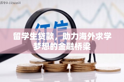 阳高留学生贷款，助力海外求学梦想的金融桥梁