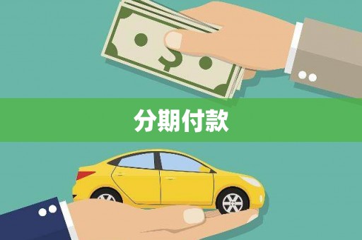 柞水分期付款