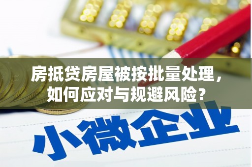 新丰房抵贷房屋被按批量处理，如何应对与规避风险？