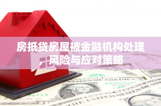 南京房抵贷房屋被金融机构处理，风险与应对策略