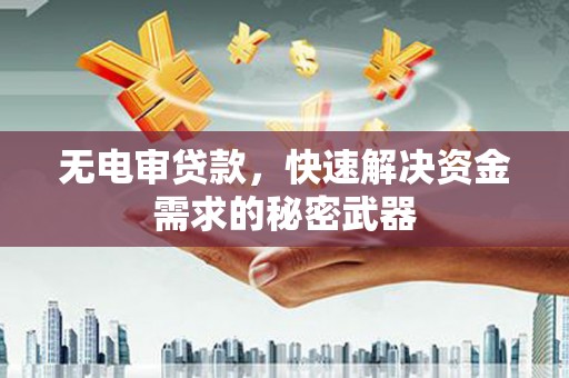 云岩无电审贷款，快速解决资金需求的秘密武器