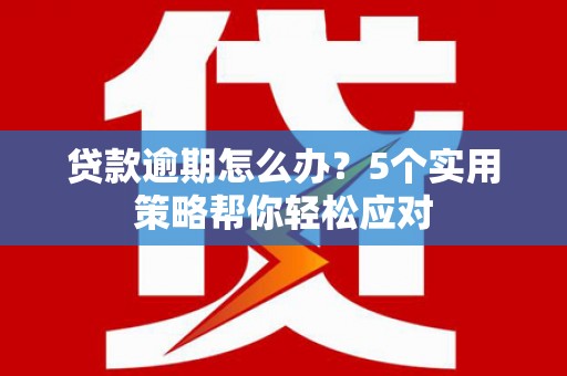 桐柏贷款逾期怎么办？5个实用策略帮你轻松应对