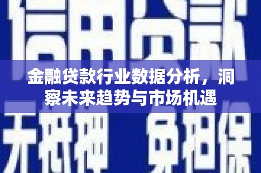 新丰金融贷款行业数据分析，洞察未来趋势与市场机遇