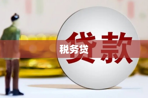 罗甸税务贷