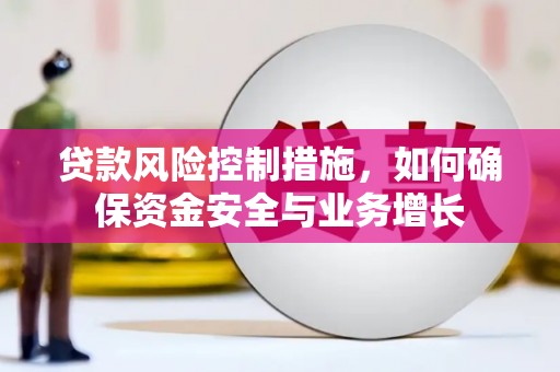龙泉贷款风险控制措施，如何确保资金安全与业务增长