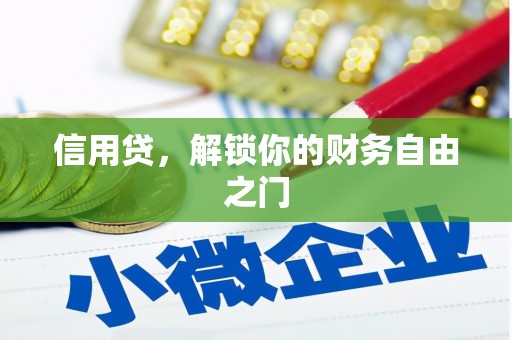 白玉信用贷，解锁你的财务自由之门