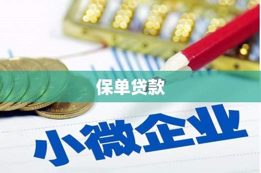宁明保单贷款