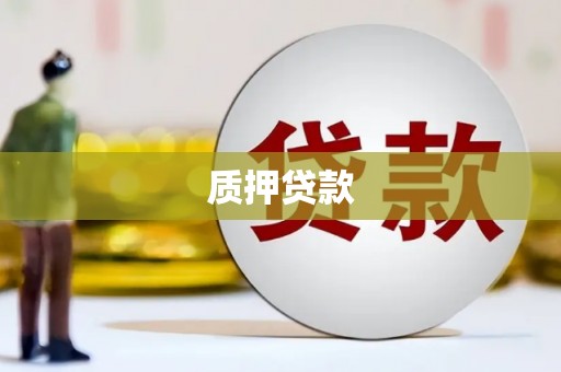 沙坪坝质押贷款