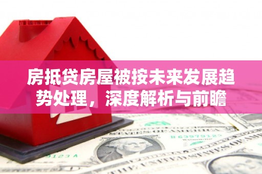 源城房抵贷房屋被按未来发展趋势处理，深度解析与前瞻