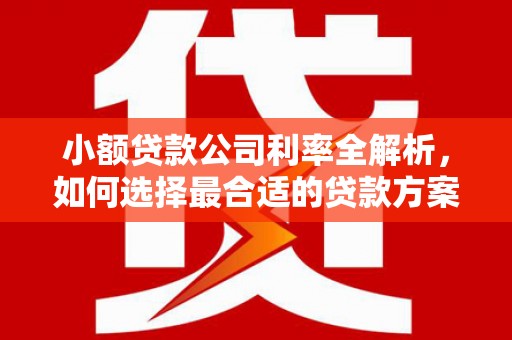 博尔塔拉小额贷款公司利率全解析，如何选择最合适的贷款方案