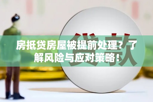 博尔塔拉房抵贷房屋被提前处理？了解风险与应对策略！