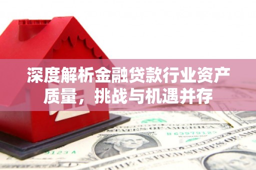 克拉玛依深度解析金融贷款行业资产质量，挑战与机遇并存