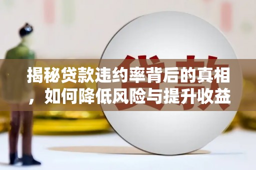 师宗揭秘贷款违约率背后的真相，如何降低风险与提升收益