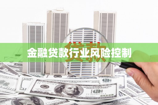 泸溪金融贷款行业风险控制