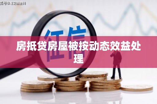 阜阳房抵贷房屋被按动态效益处理