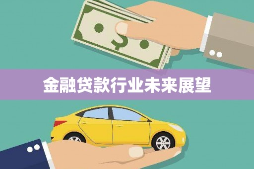 崇阳金融贷款行业未来展望