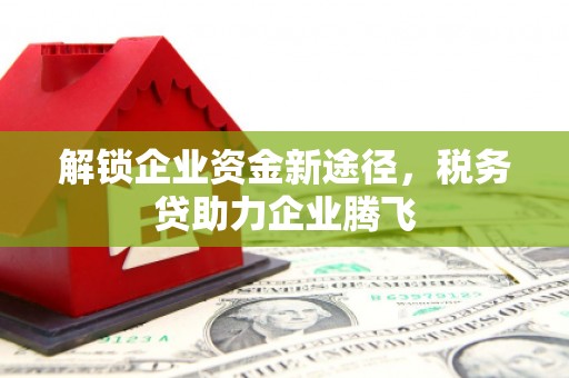 中站解锁企业资金新途径，税务贷助力企业腾飞