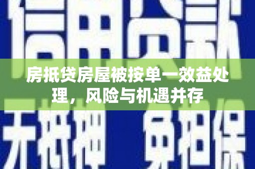 深州房抵贷房屋被按单一效益处理，风险与机遇并存