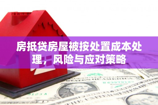 大荔房抵贷房屋被按处置成本处理，风险与应对策略