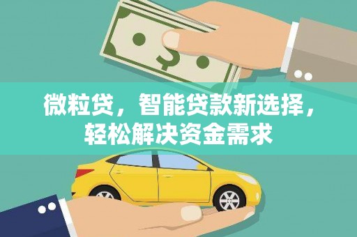 连云港微粒贷，智能贷款新选择，轻松解决资金需求