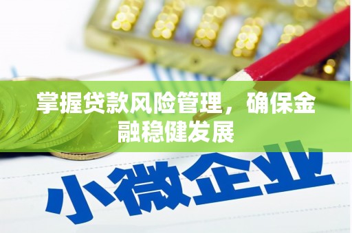 五大连池掌握贷款风险管理，确保金融稳健发展