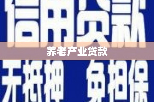 端州养老产业贷款