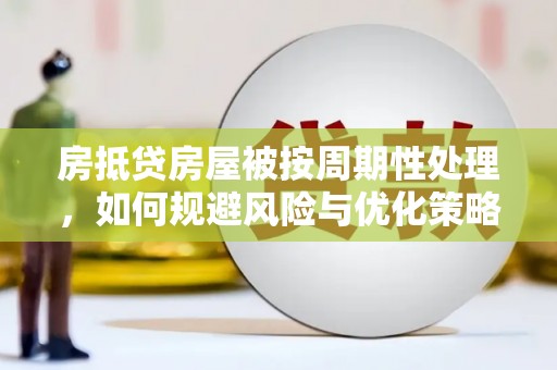 鹿寨房抵贷房屋被按周期性处理，如何规避风险与优化策略