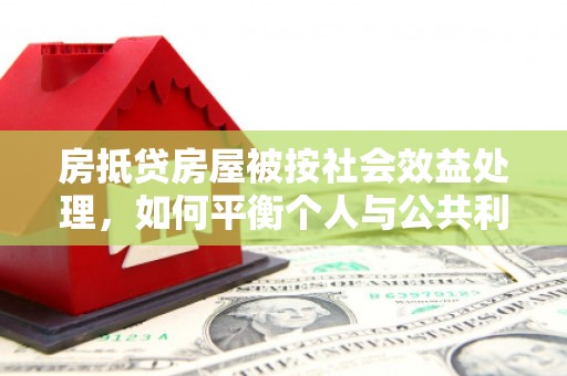 牡丹房抵贷房屋被按社会效益处理，如何平衡个人与公共利益？