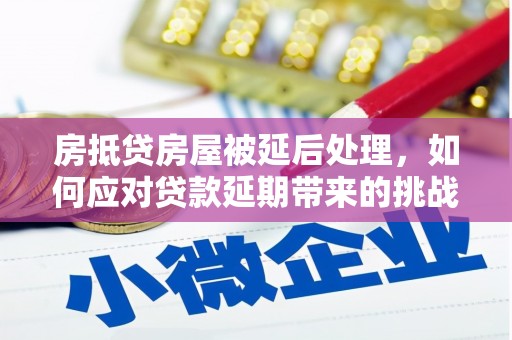谢家集房抵贷房屋被延后处理，如何应对贷款延期带来的挑战？