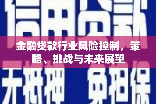 西贡金融贷款行业风险控制，策略、挑战与未来展望
