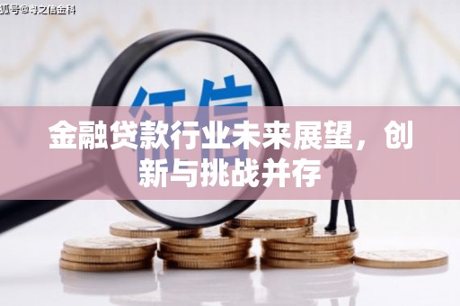 西平金融贷款行业未来展望，创新与挑战并存