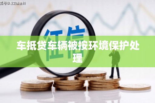 谢家集车抵贷车辆被按环境保护处理