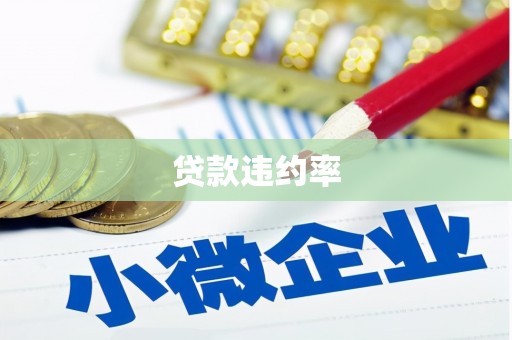 兴文贷款违约率