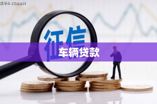 雄县车辆贷款