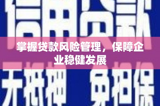台湾掌握贷款风险管理，保障企业稳健发展