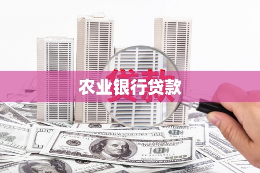 洪山农业银行贷款