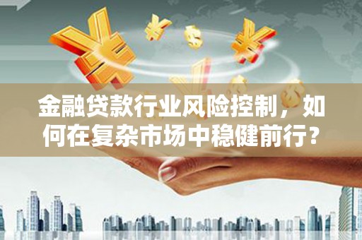 滨湖金融贷款行业风险控制，如何在复杂市场中稳健前行？