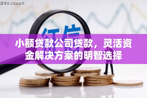 临颍小额贷款公司贷款，灵活资金解决方案的明智选择