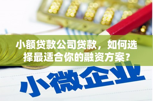 平舆小额贷款公司贷款，如何选择最适合你的融资方案？