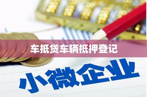 东台车抵贷车辆抵押登记