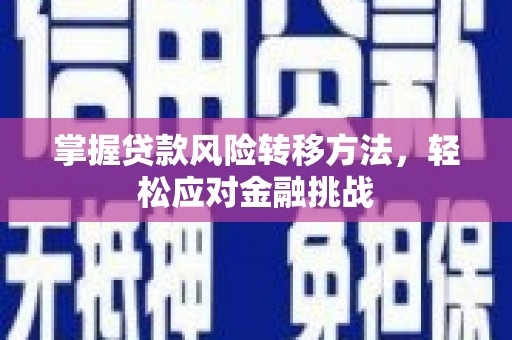 瑞安掌握贷款风险转移方法，轻松应对金融挑战