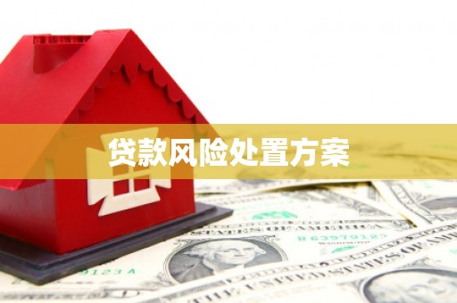 瑞安贷款风险处置方案