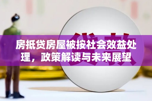 东台房抵贷房屋被按社会效益处理，政策解读与未来展望